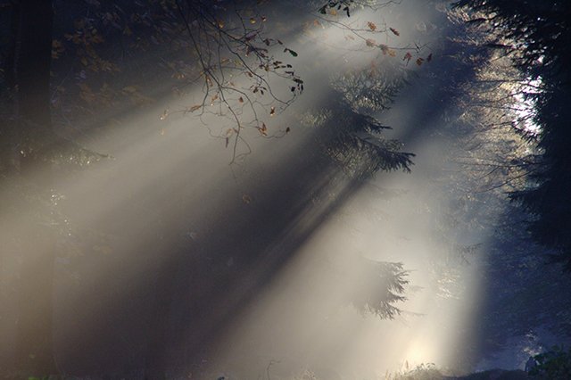 Escena natural que acompaña a la música de piano