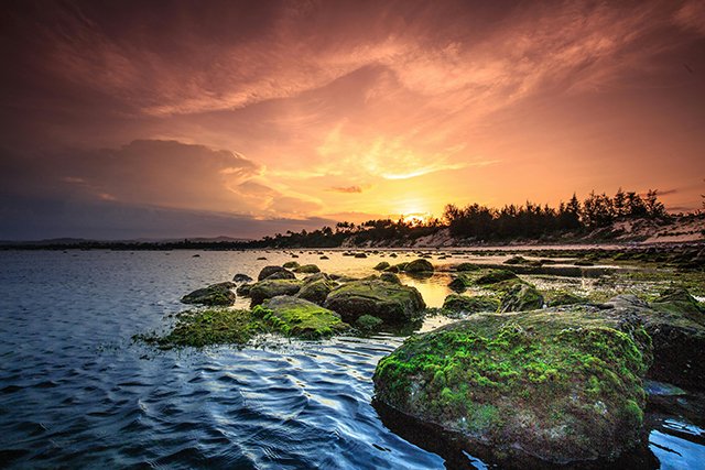 Paisaje otoñal de tonos anaranjados